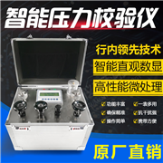 箱式智能壓力校驗(yàn)儀